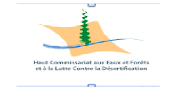 Eau et foret